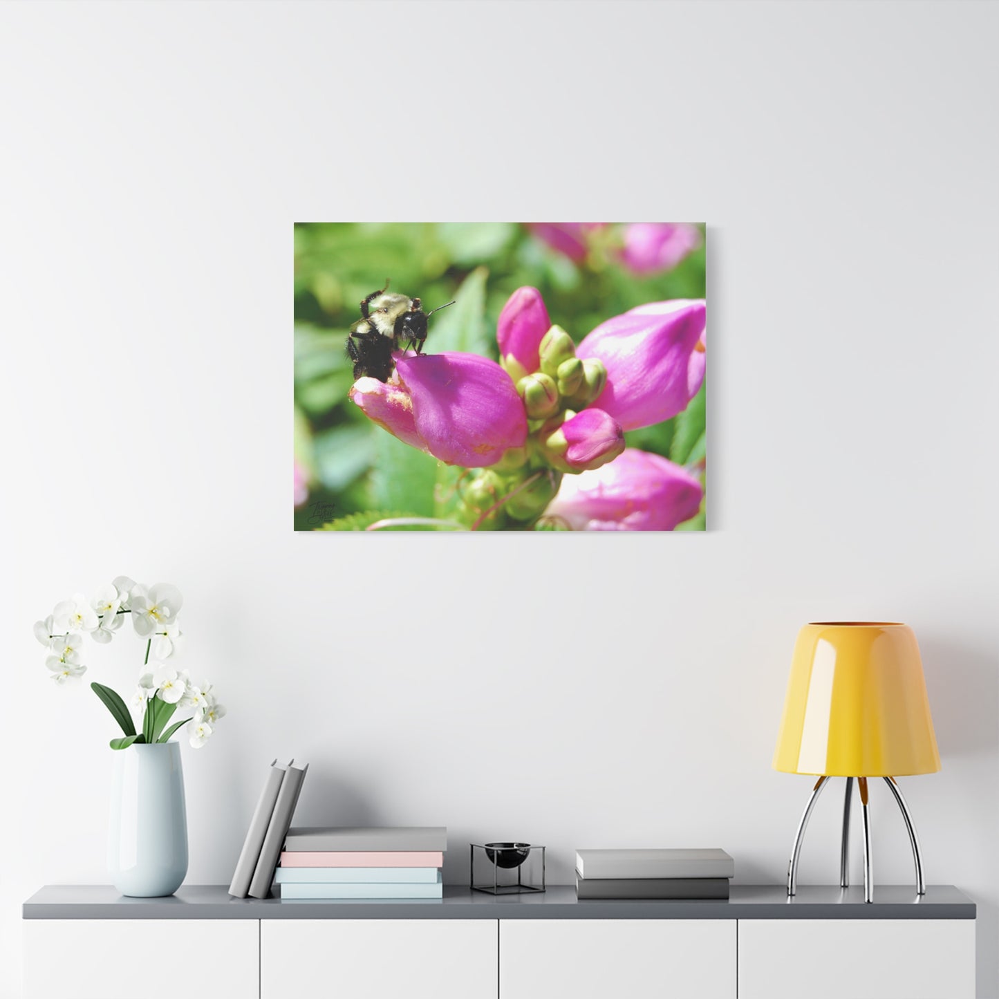 'Fresh Nectar' In a backyard near you - Stretched Canvas