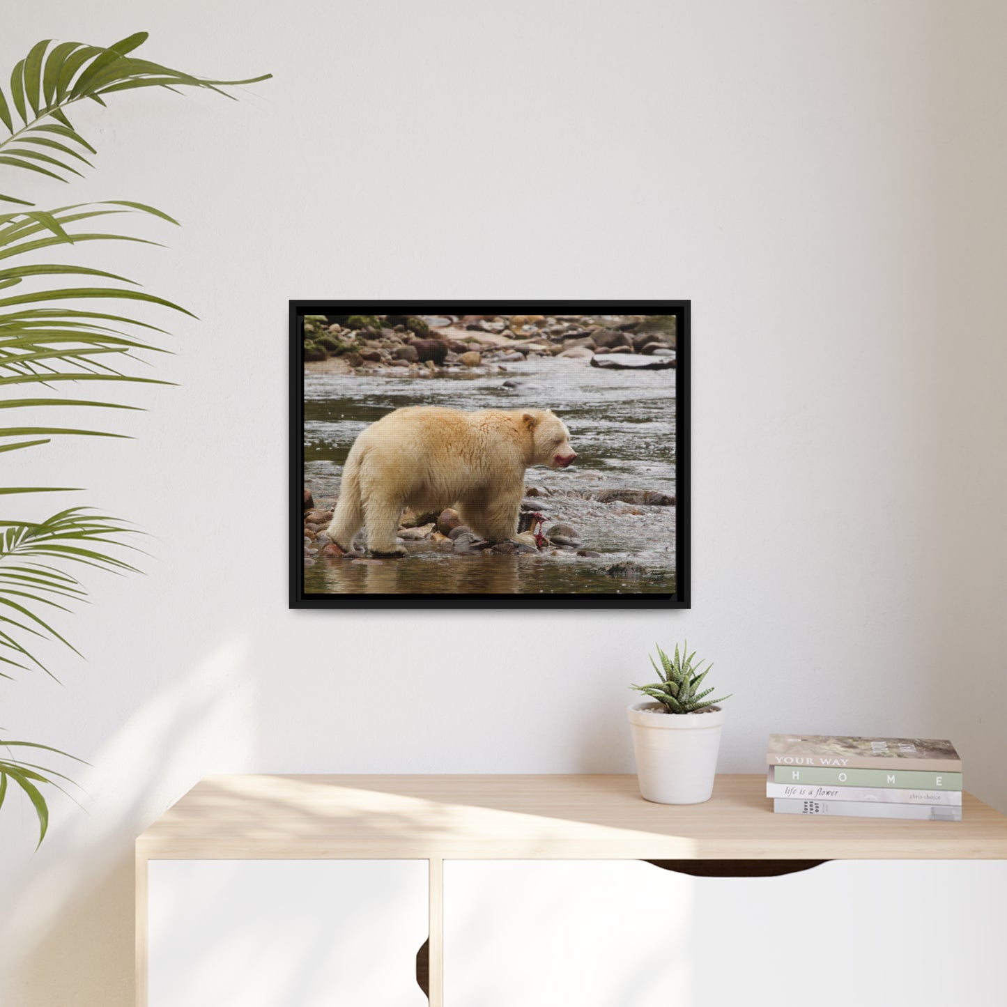 'Spirit Bear' Rainforest,  British Columbia - Gallery Framed Canvas Wrap