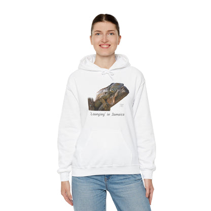 ‘Lounging’ Jamaica - Unisex Heavy Blend™ Hooded Sweatshirt