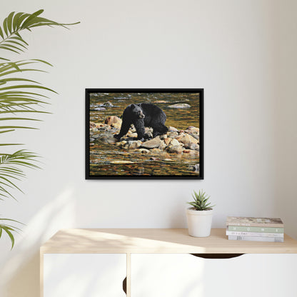 'I See You' Bella Bella, BC  - Gallery Framed Canvas Wrap