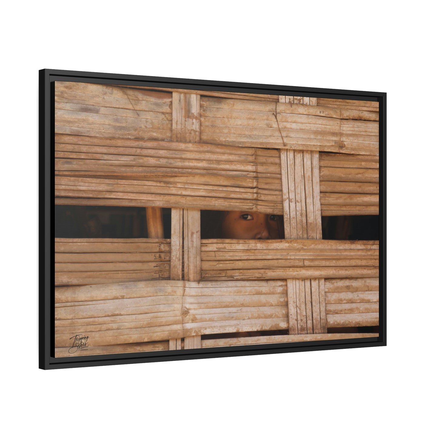 'Curiosity' Loas  - Gallery Framed Canvas Wrap