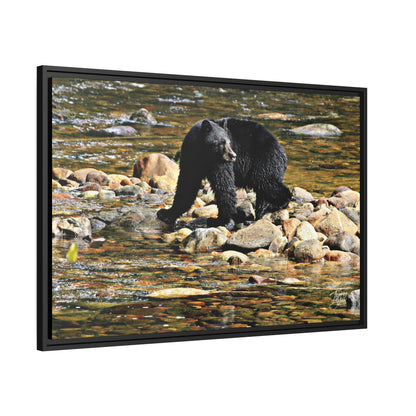 'I See You' Bella Bella, BC  - Gallery Framed Canvas Wrap