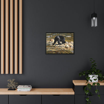 'I See You' Bella Bella, BC  - Gallery Framed Canvas Wrap