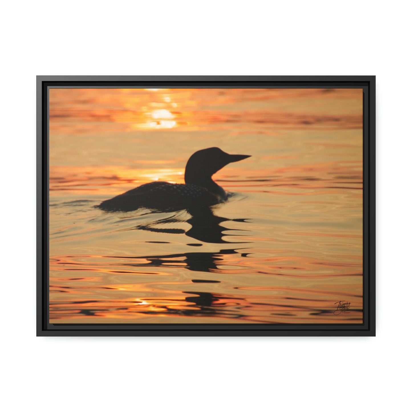 'Silhouette'  - Gallery Framed Canvas Wrap