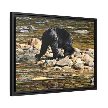 'I See You' Bella Bella, BC  - Gallery Framed Canvas Wrap