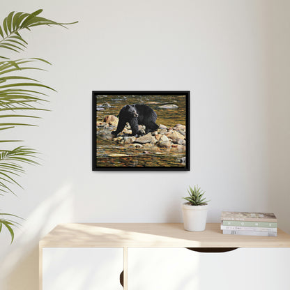'I See You' Bella Bella, BC  - Gallery Framed Canvas Wrap