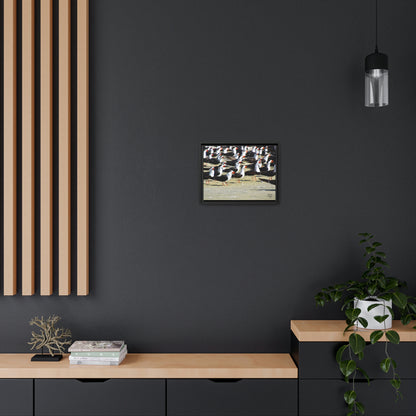 'Skimming West' Port Richey, Florida - Gallery Framed Canvas Wrap