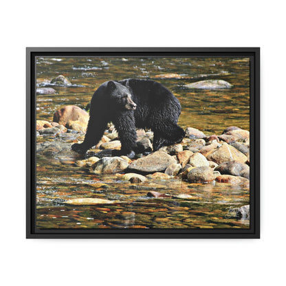 'I See You' Bella Bella, BC  - Gallery Framed Canvas Wrap